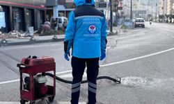 BÜYÜKŞEHİR VEKTÖRLE MÜCADELEDE YAZA HAZIR