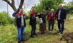 KAHVERENGİ KOKARCA İLE MÜCADELEDE YENİ DÖNEM BAŞLADI