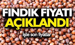 FINDIK FİYATI AÇIKLANDI
