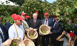 BAŞKAN GENÇ’TEN FINDIKTA KALİTE VE VERİM ÇAĞRISI
