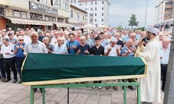 ASIRLIK ÇINARI KAYBETTİK