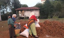 KARADENİZ KADINININ BİTMEYEN ÇİLESİ