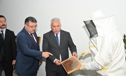 BAŞKAN GENÇ'TEN ARICILARA TAM DESTEK