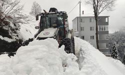 BÜYÜKŞEHİR'İN KIŞ MESAİSİ BAŞLADI