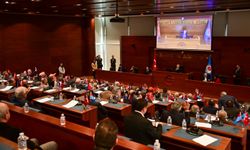 TRABZON’DA SOKAK HAYVANLARI İÇİN DÜZENLEME