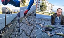 DAĞDA KAR, SAHİLDE YILANLA MÜCADELE EDİYORUZ