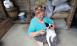 HAYVAN SEVGİSİNE ÖRNEK DAVRANIŞ