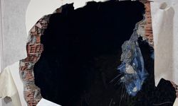 BİR AY SONRA EVLERİNE DÖNDÜLER