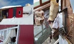 TRABZON’DA YAYLA EVİNE GİREN AYI ORTALIĞI SAVAŞ ALANINA ÇEVİRDİ