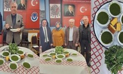 Sayvançatak Derneğinden Geleneksel 16. Sırgan Festivali