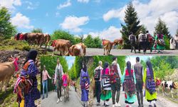 ŞALPAZARI’NDA GELENEKSEL YAYLA GÖÇÜ BAŞLADI