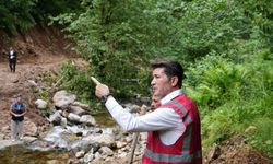 15 ÜLKEDEN 650 HALK OYUNCUSU TRABZON'DA BULUŞACAK