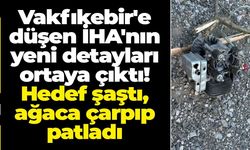 Hedef şaştı, ağaca çarpıp patladı