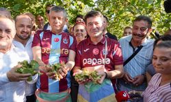 GENEL BAŞKAN ÖZEL, BAŞKAN KAYA İLE BİRLİKTE FINDIK TOPLADI