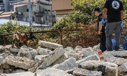 ARAMA KÖPEKLERİNİN EĞİTİM ÜSSÜ TRABZON OLDU