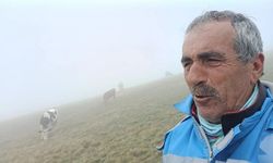 GÜMÜŞHANE'DE BULUNAN SON YAYLACILAR DOĞAL MANTAR BEREKETİ İLE KARŞILAŞTILAR