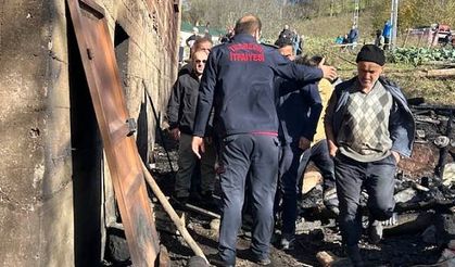 12 HAYVAN TELEF OLDU