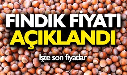 FINDIK FİYATI AÇIKLANDI