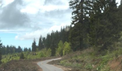 KARADAĞ YAYLA YOLUNDA TEPKİ ÇEKEN GÖRÜNTÜLER