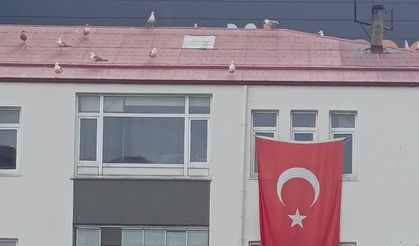 SİYASETTE BÖLGECİLİK UTANCI: VAKFIKEBİR MHP’DE "TONYALI" AYRIMCILIĞINA SERT TEPKİ