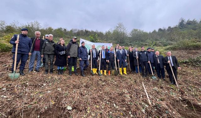 MİLLİ AĞAÇLANDIRMA GÜNÜ'NDE FİDANLAR TOPRAKLA BULUŞTURULDU