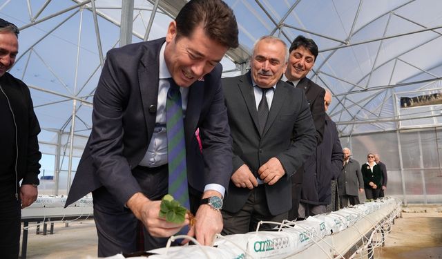 EN MUTLU KÖY’DE, İSTİRİDYE MANTARI ÜRETİMİNE BAŞLANDI ÜRETİLEN MANTARLAR, MARKET REYONLARINDA YERİNİ ALDI