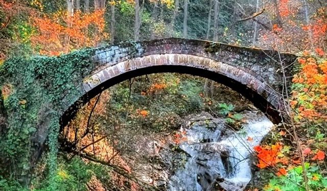 DOĞANIN HER RENGİYLE ŞALPAZARI'NDA ZEYNELİN KÖPRÜSÜ BÜYÜLÜYOR