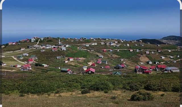 KARADAĞ YAYLASINDA ACI ÖLÜM