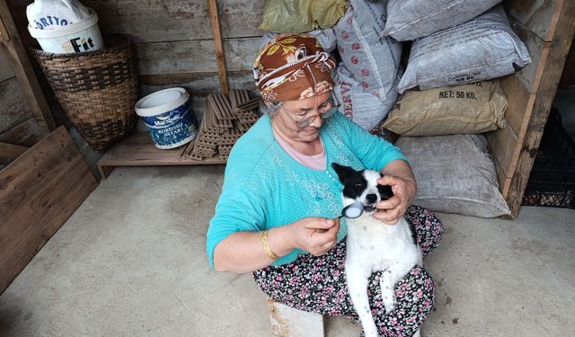 HAYVAN SEVGİSİNE ÖRNEK DAVRANIŞ