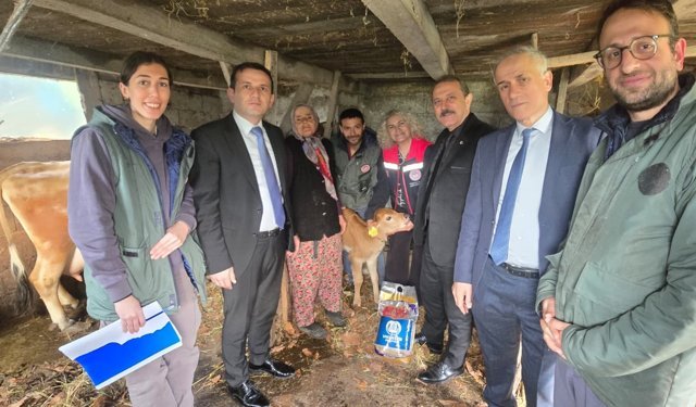 SUNİ TOHUMLAMA PROJEMİZİN İLK BUZAĞILARI DOĞDU