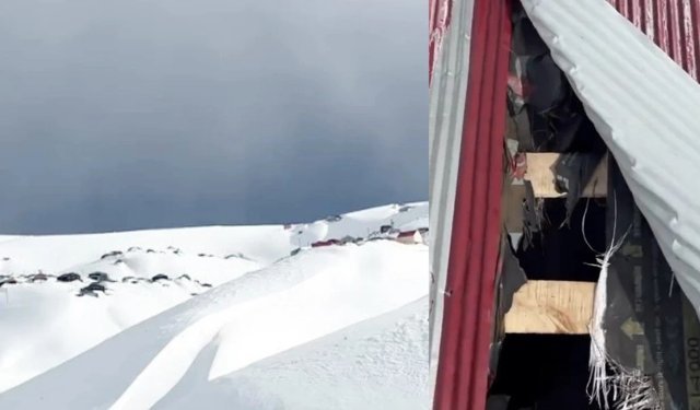 YAYLADA AYI DEHŞETİ, BU KEZ ÇATIDAN GİRDİ