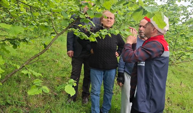 SAHA ÇALIŞMALARI ARALIKSIZ SÜRÜYOR