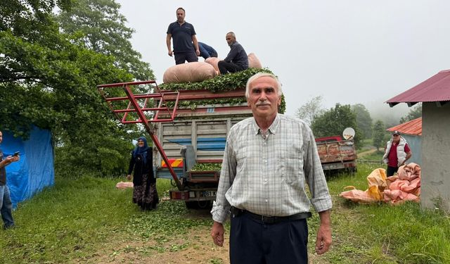 KARADENİZ İNSANI YİNE ZEKASINI KONUŞTURDU, ZOR İŞİ KOLAYLAŞTIRDI