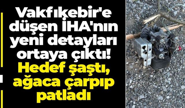 Hedef şaştı, ağaca çarpıp patladı