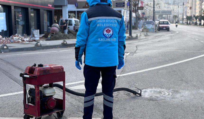 BÜYÜKŞEHİR VEKTÖRLE MÜCADELEDE YAZA HAZIR