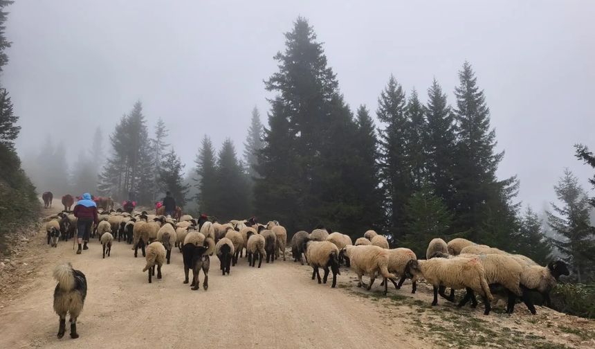 DOĞU KARADENİZ’DE YAYLALARDAN DÖNÜŞLER HIZLANDI