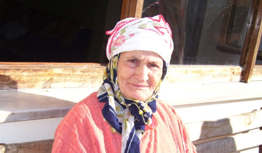 ASIRLIK ÇINARI KAYBETTİK