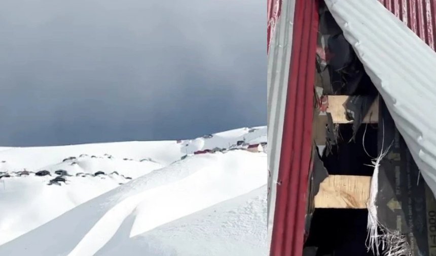 YAYLADA AYI DEHŞETİ, BU KEZ ÇATIDAN GİRDİ