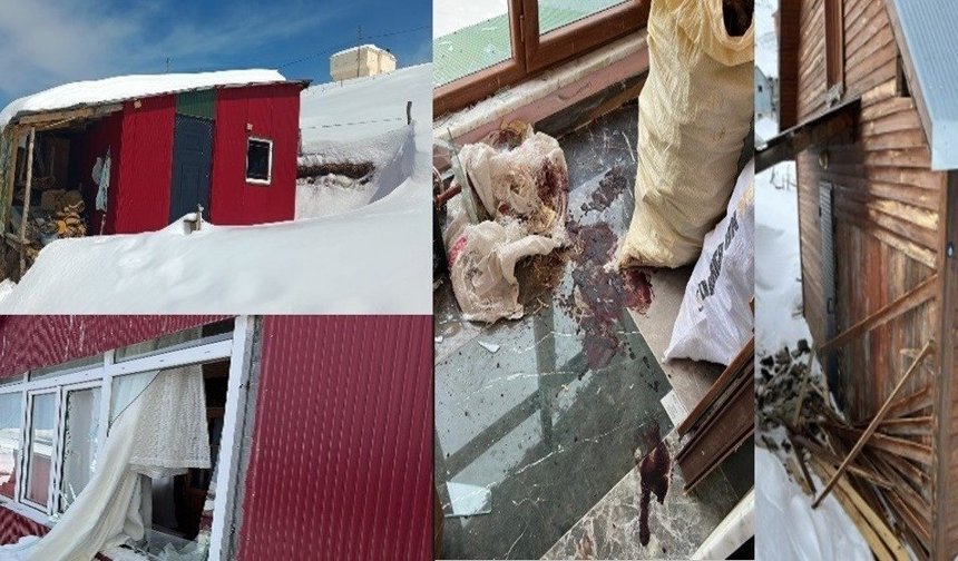 TRABZON’DA YAYLA EVİNE GİREN AYI ORTALIĞI SAVAŞ ALANINA ÇEVİRDİ