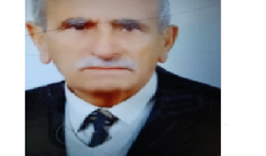 BİR ÇINARI DAHA EBEDİYETE UĞURLADIK