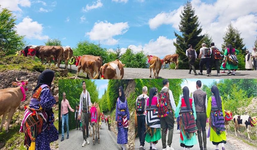 ŞALPAZARI’NDA GELENEKSEL YAYLA GÖÇÜ BAŞLADI
