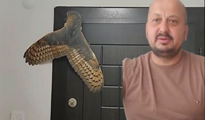 HIRSIZ SANDI BAYKUŞ İLE KARŞILAŞTI