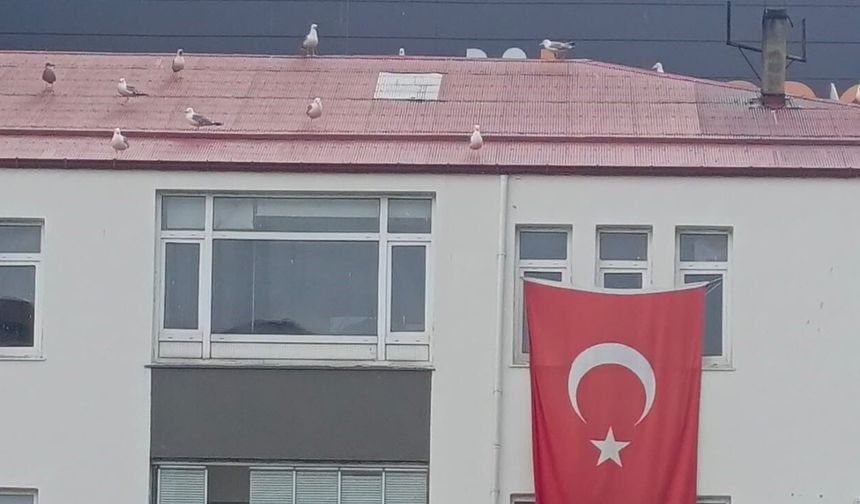 SİYASETTE BÖLGECİLİK UTANCI: VAKFIKEBİR MHP’DE "TONYALI" AYRIMCILIĞINA SERT TEPKİ
