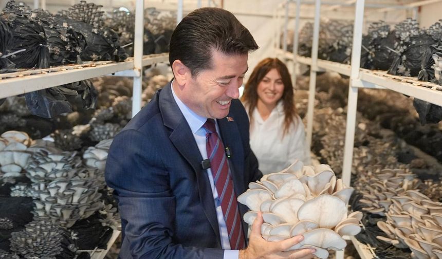 BAŞKAN KAYA, EN MUTLU KÖY'DE İSTİRİDYE MANTARI HASAT PROGRAMINA KATILDI