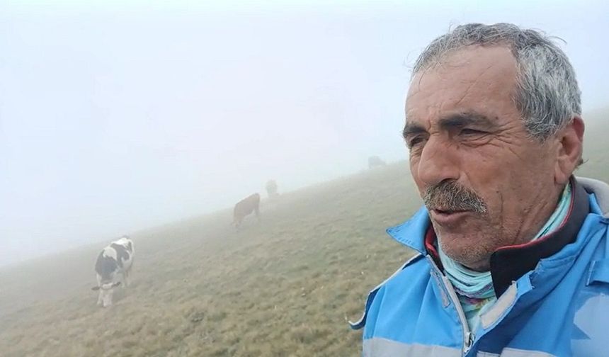 GÜMÜŞHANE'DE BULUNAN SON YAYLACILAR DOĞAL MANTAR BEREKETİ İLE KARŞILAŞTILAR
